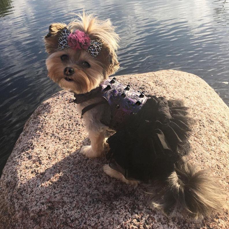 Purple Embossed Skull Faux Leather Dog Harness Vest
